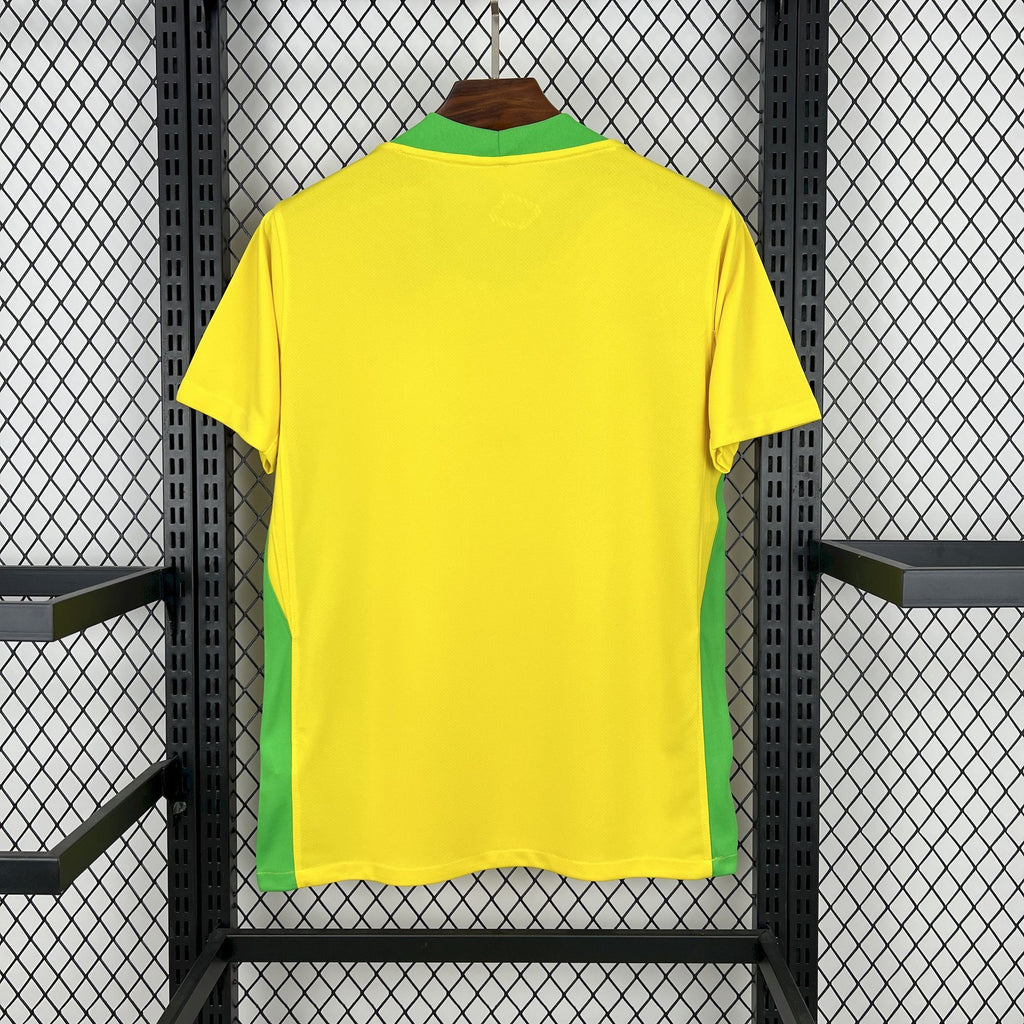 Brazil 2026 World Cup Home