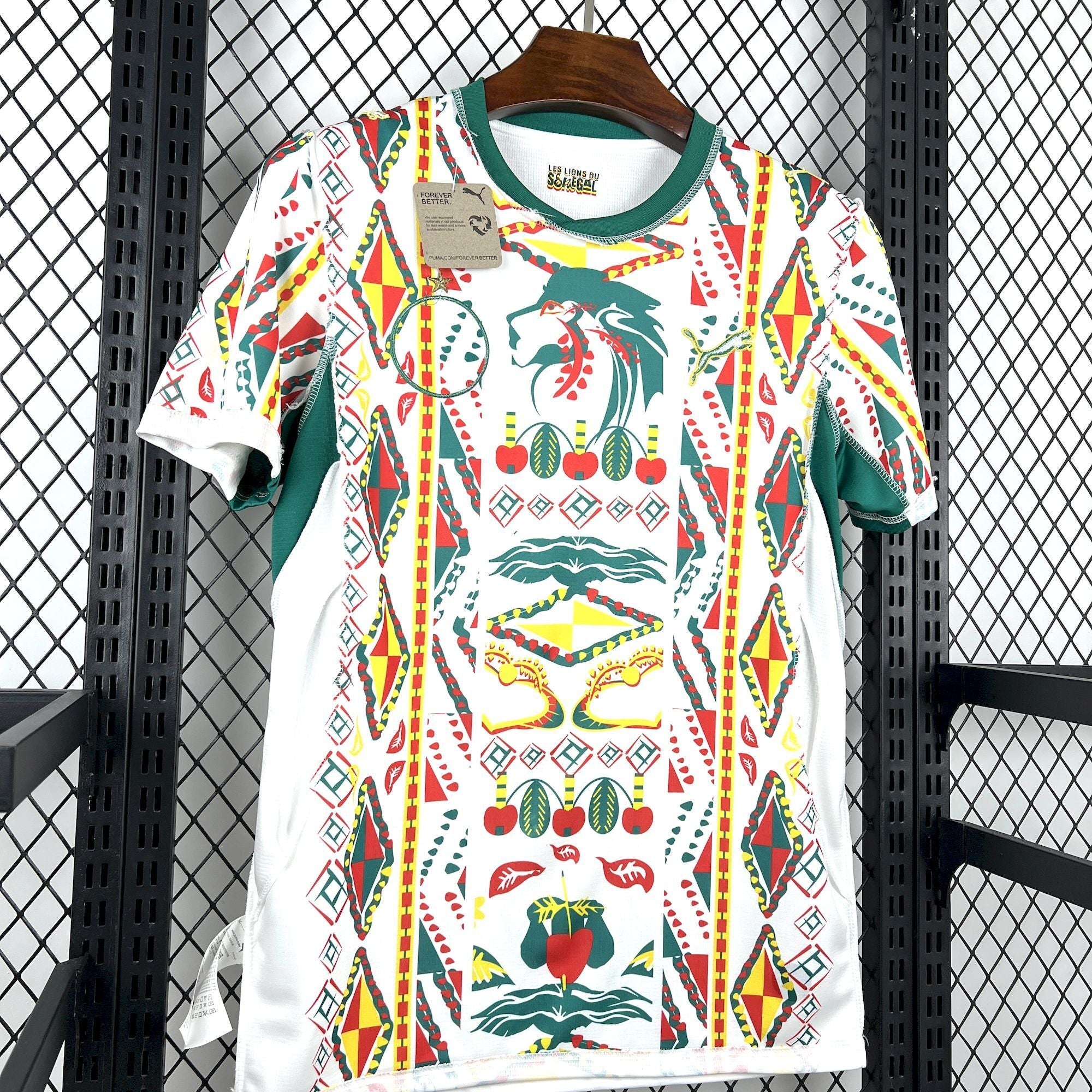 Senegal 2026 World Cup Home