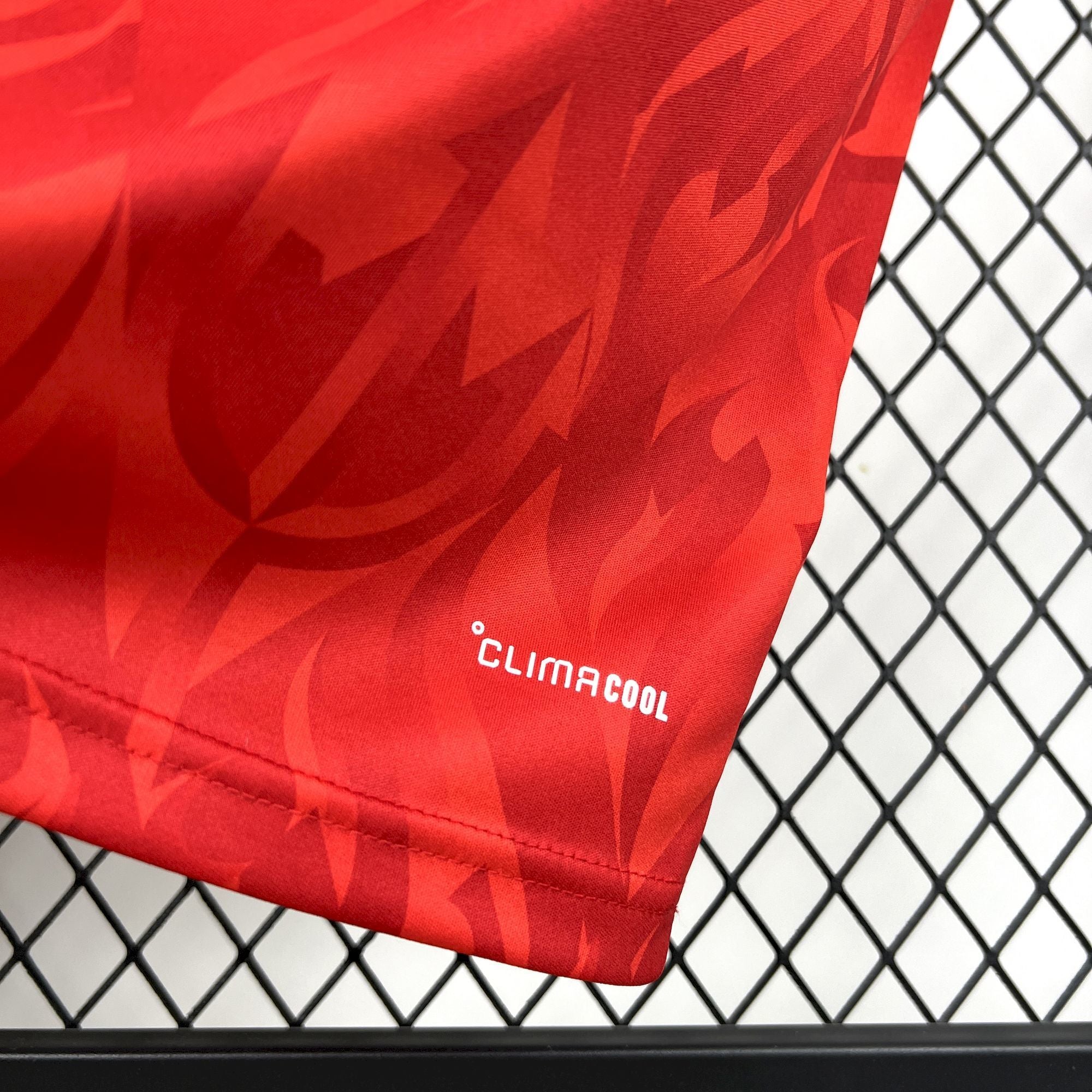 Belgium 2026 World Cup Home